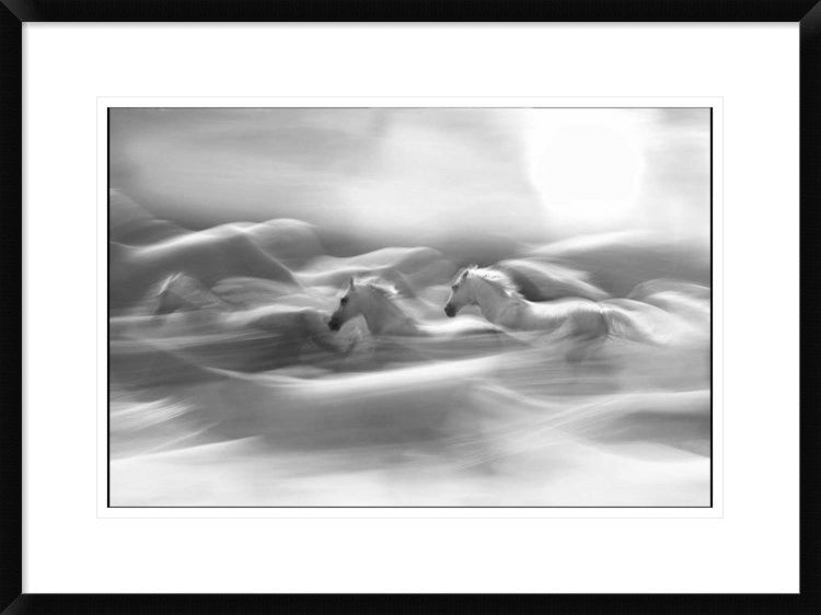 "Morning Dream" Framed Digital Print by Milan Malovrh, 30x22"
