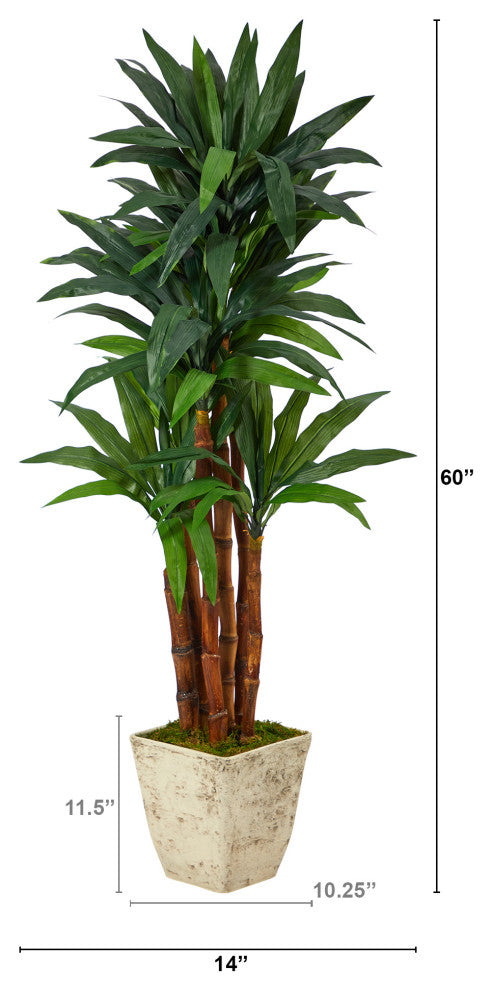 5' Dracaena Artificial Tree, Country White Planter