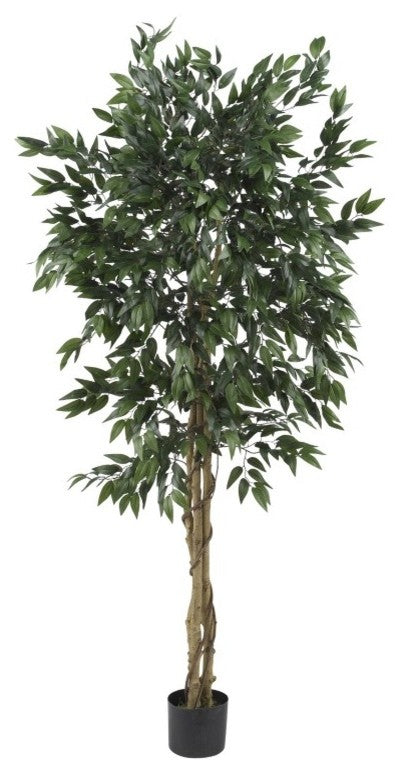5' Smilax Tree