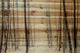 "Thin Trees" Painting Print on Natural Pine Wood, 60"x40"