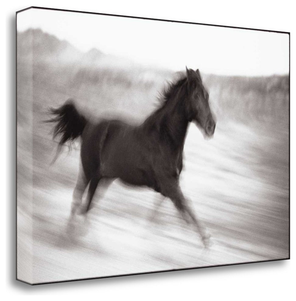 "Americana" By James Omara, Giclee Print on Gallery Wrap Canvas, Ready to Hang