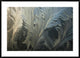 Frost Crystal Patterns On Glass, Ross Sea, Antarctica, 42"x30"