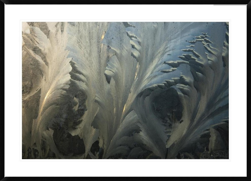 Frost Crystal Patterns On Glass, Ross Sea, Antarctica, 42"x30"