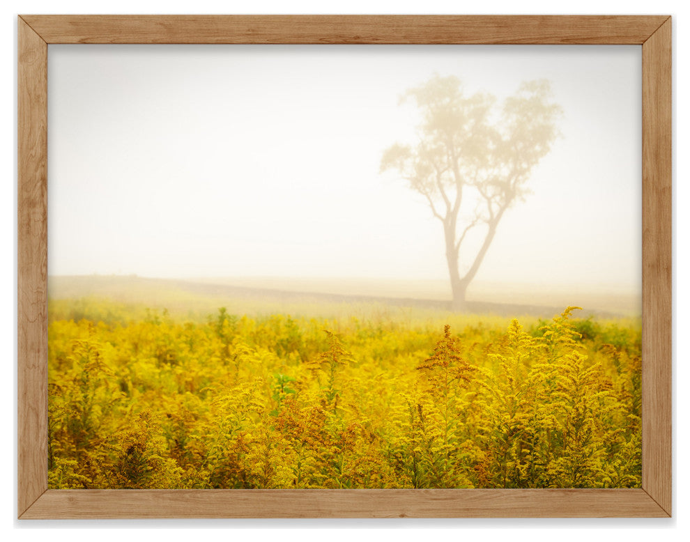 Dreams of Goldenrod and Fog Landscape Framed Photo Paper Wall Art Prints, Red Oak, 24" X 36"