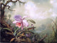 Martin Johnson Heade Heliodore's Woodstar and a Pink Orchid Wall Decal