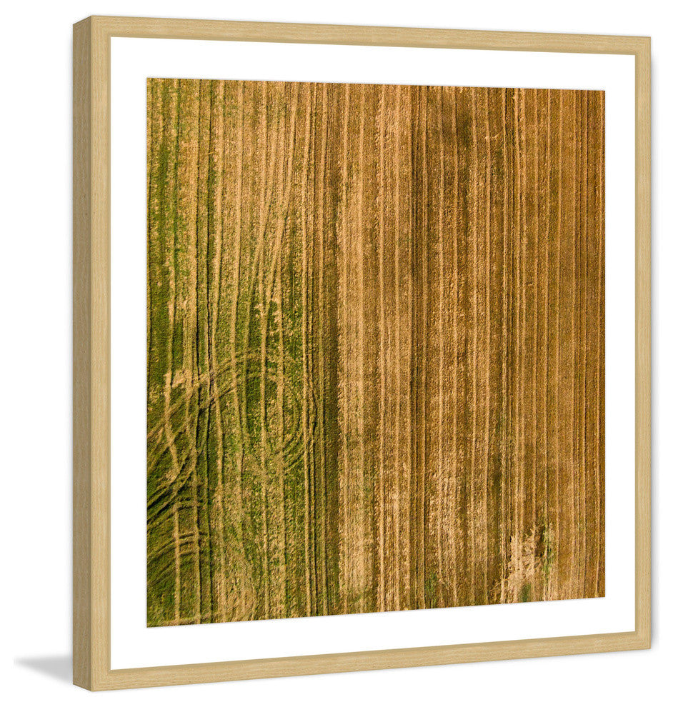 "Crop Trails" Framed Print by Karolis Janulis