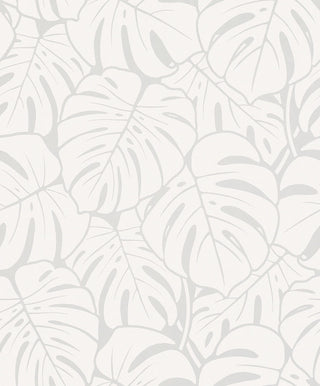 Botanical & Jungle Textured Wallpaper Featuring Palm Leaves, 82086