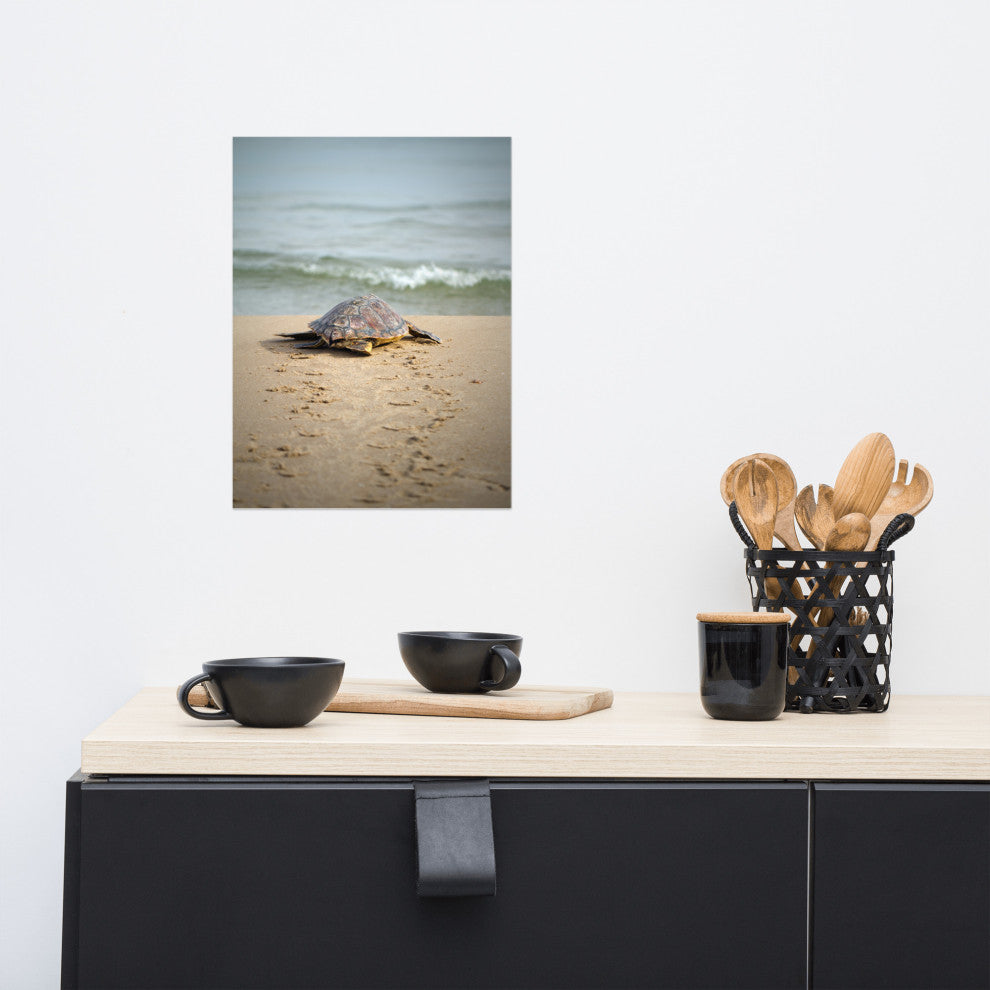Baby Loggerhead Sea Turtle Beach Ocean Photograph Loose Wall Art Print, 12" X 16"