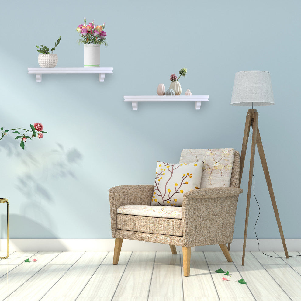 Danya B. Decorative 24" Floating Wall Decor Display Shelves, Set of 2, White