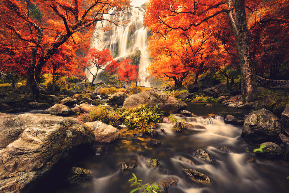 Waterfall in the Autumn Golden Shadow Effect Landscape Photo Canvas Art Print, 18" X 24"