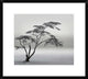 "A Very Long Story" Framed Digital Print by Piet Flour, 24x21"