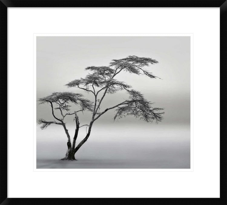 "A Very Long Story" Framed Digital Print by Piet Flour, 24x21"
