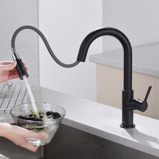 Fusion Single Handle Pull Down Kitchen & Bar Sink Faucet, Matte Black