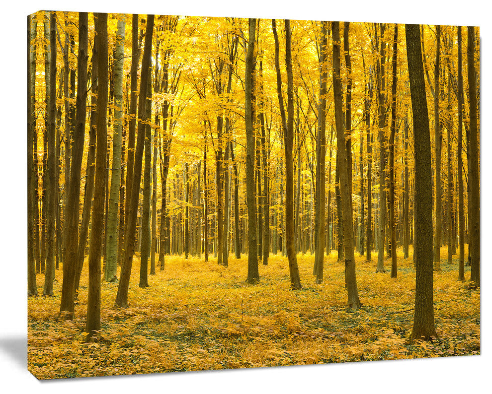 Bright Yellow Autumns Forest, Modern Forest Canvas Art, 40"x30"