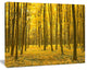 Bright Yellow Autumns Forest, Modern Forest Canvas Art, 40"x30"