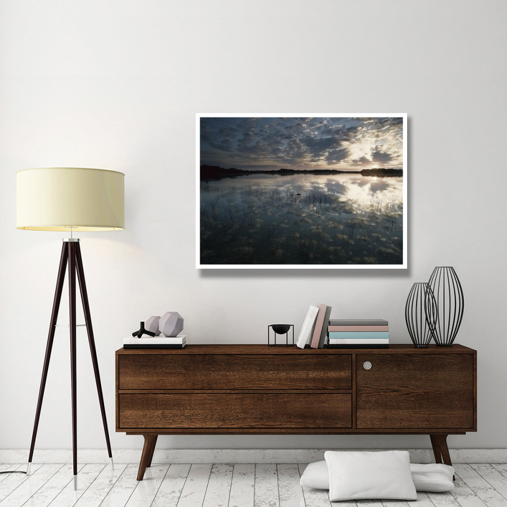 "American Alligator in 9-mile Pond, Everglades National Park" Paper Art, 50"x38"