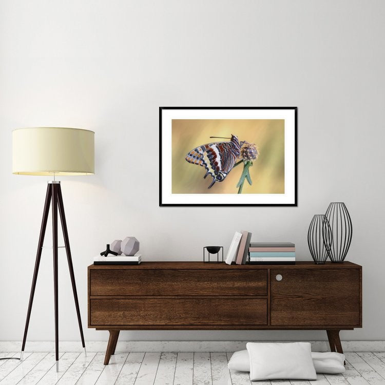 "La Mariposa Del Madroa" Framed Digital Print by Jimmy Hoffman, 44x32"
