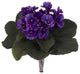 9" African Violet Artificial Plant, Set of 6 , Purple