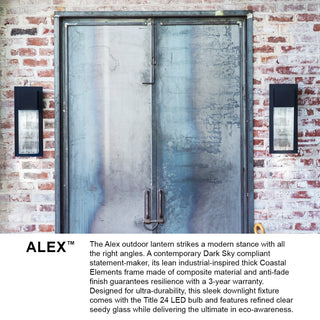 Lark Alex Large Wall Mount Lantern, Antique Brushed Aluminum