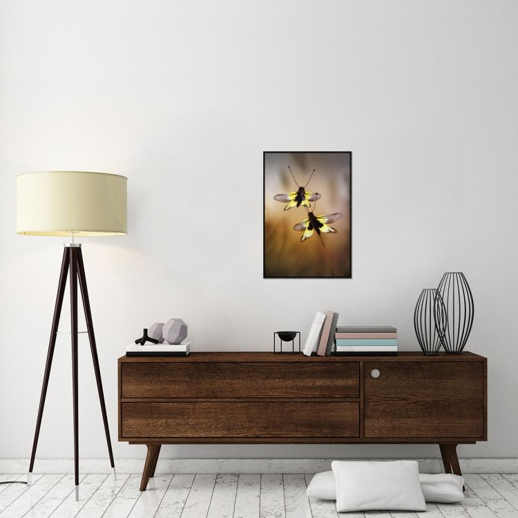 "Owlflies" Framed Canvas Giclee by Jimmy Hoffman, 21x31"