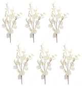 Eucalyptus Spray, 6-Piece Set