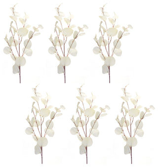 Eucalyptus Spray, 6-Piece Set