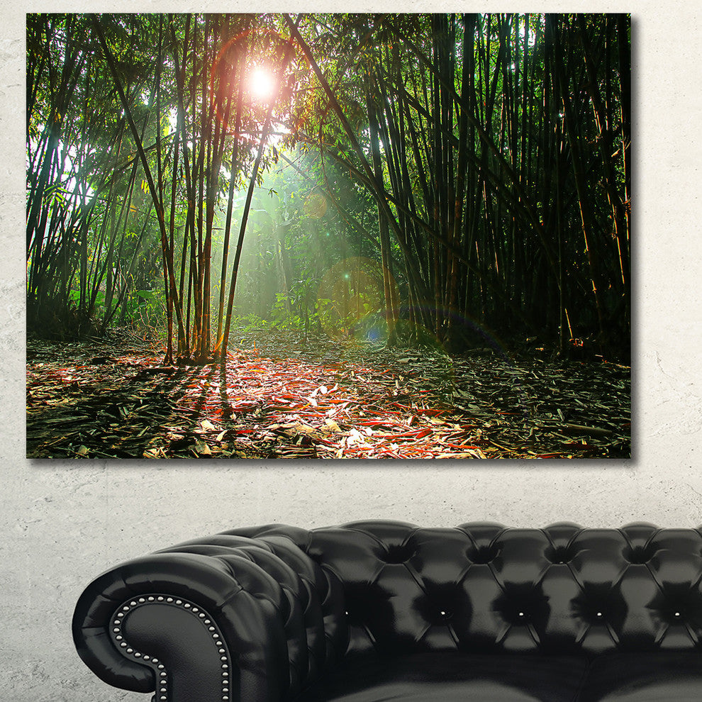Amazing Green Forest at Sunset, Large landscape Canvas Art Print, 60x40