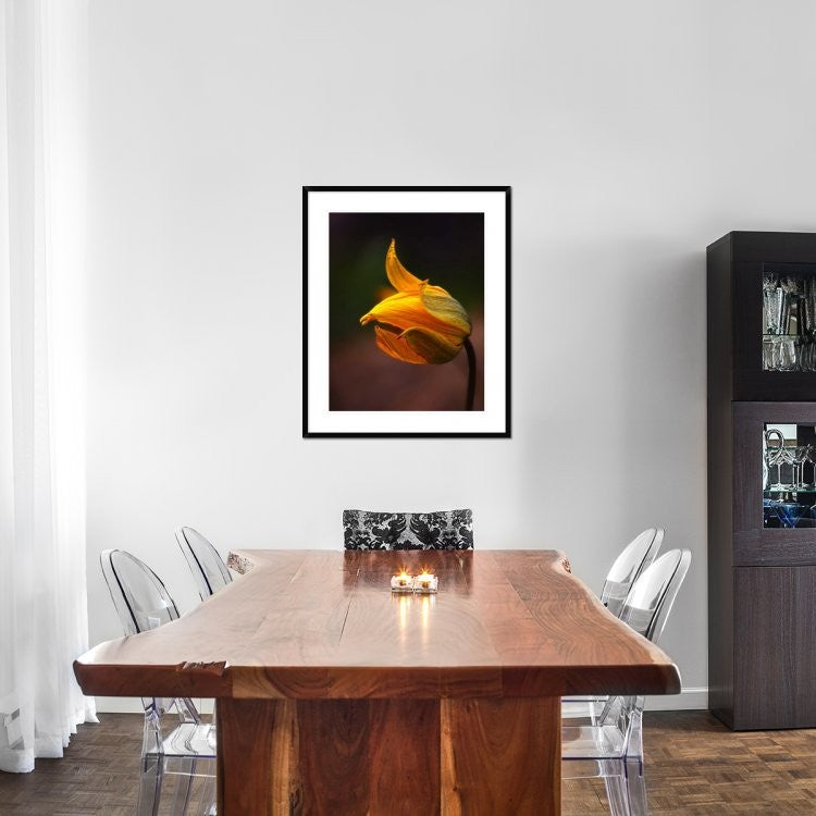 "Shine" Framed Digital Print by Kent Mathiesen, 31x38"