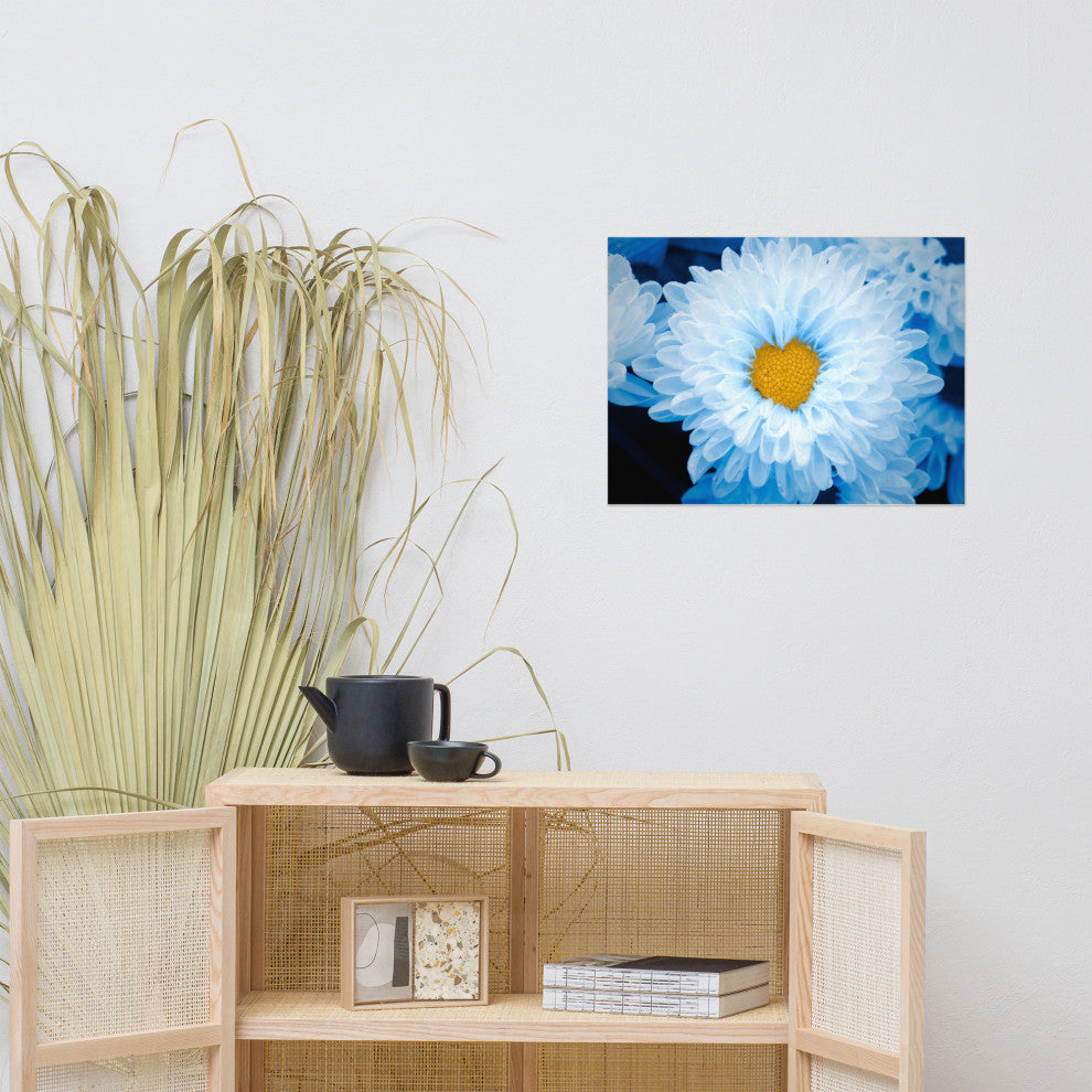 Blue Tinted Chrysanthemums Floral Nature Photo Loose Wall Art Print, 18" X 24"