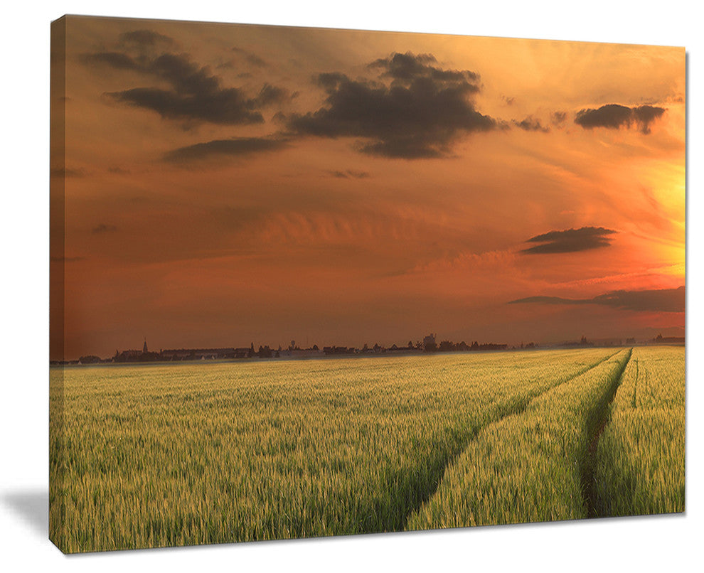 "Sunset Over A Field of Cereals" Extra Large Wall Art Landscape, 20"x12"