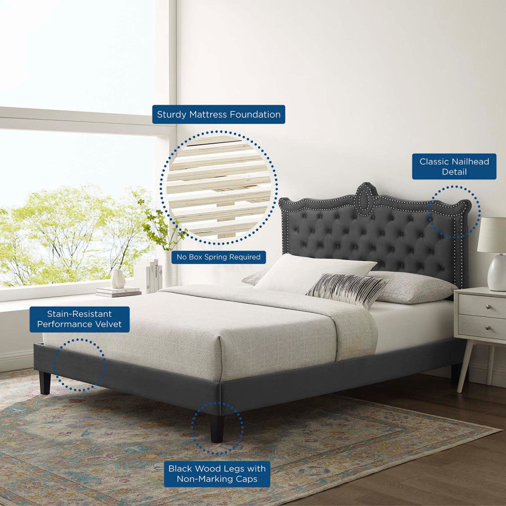 Platform Bed Frame, Nailhead, Queen Size, Charcoal Gray, Velvet, Modern