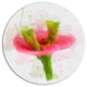 Green Red Flower Sketch Watercolor, Floral Round Metal Wall Art, 11"