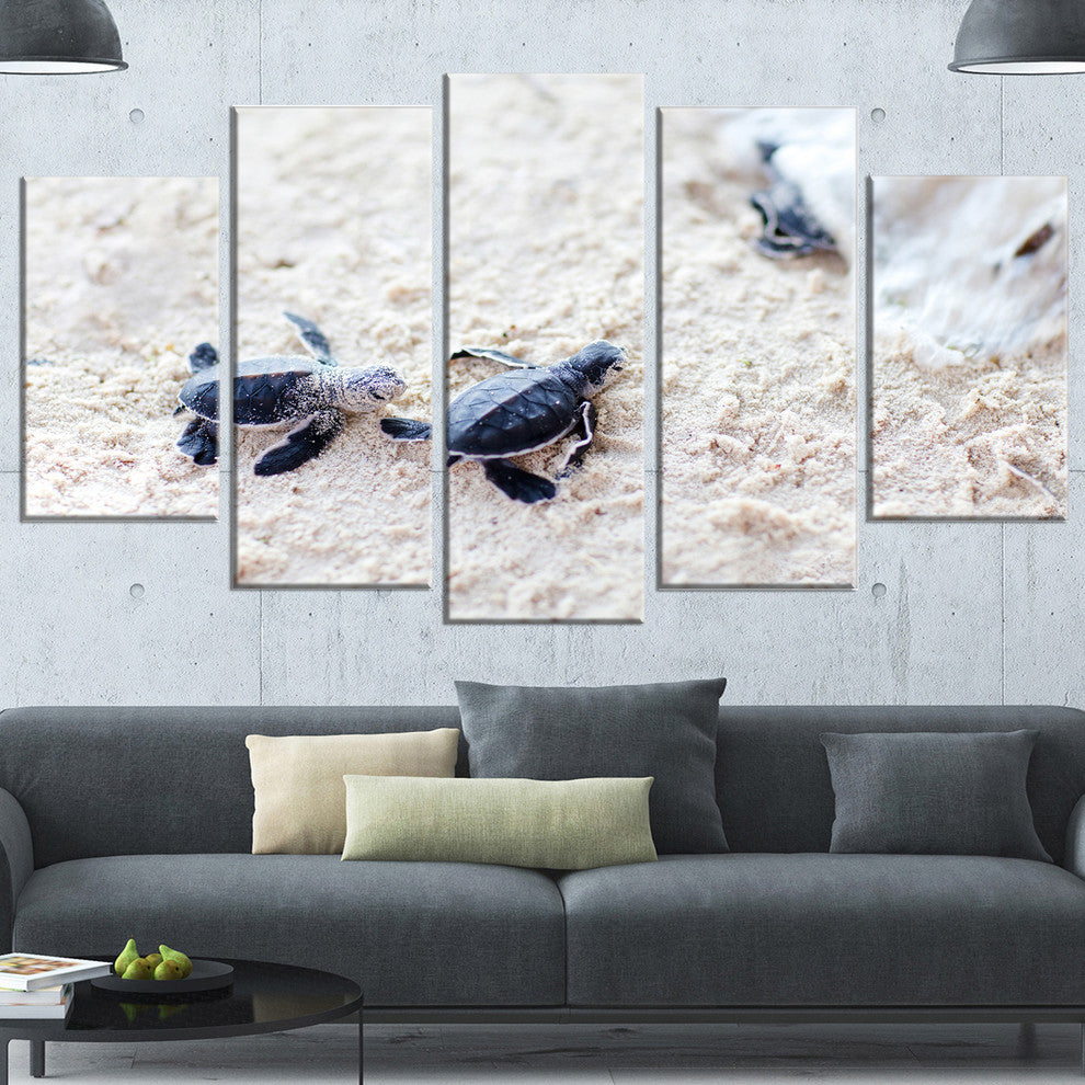 Baby Green Turtles on Sand, Oversized Animal Wall Art, 60"x32", 5 Panels