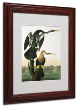 'Black-Billed Darter' Matted Framed Canvas Art by John James Audubon