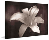 "Fully Exposed" Painting Print on Canvas by Robertson