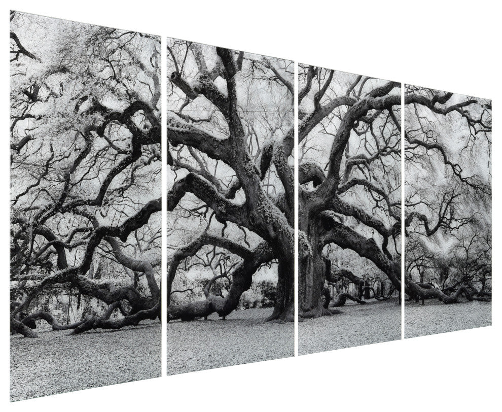 "The Angel Oak ABCD" Frameless Tempered Glass Panel Graphic Wall Art Set