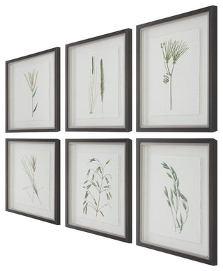 Uttermost Forest Finds Framed Prints, Set of 6