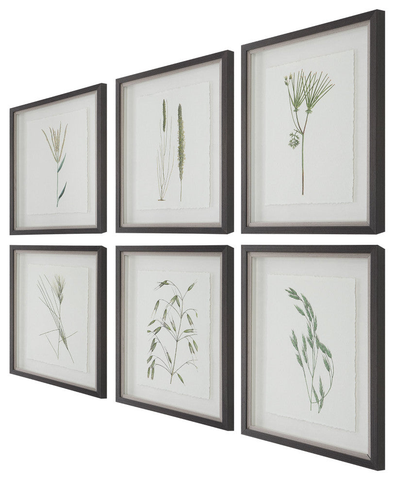 Uttermost Forest Finds Framed Prints, Set of 6