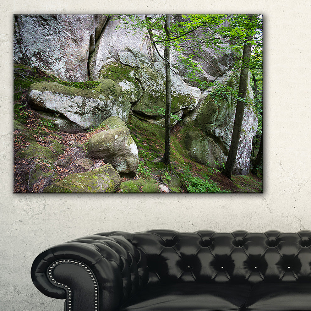 "Deep Moss Forest With Rocks" Landscape Art Print Canvas, 32"x16"