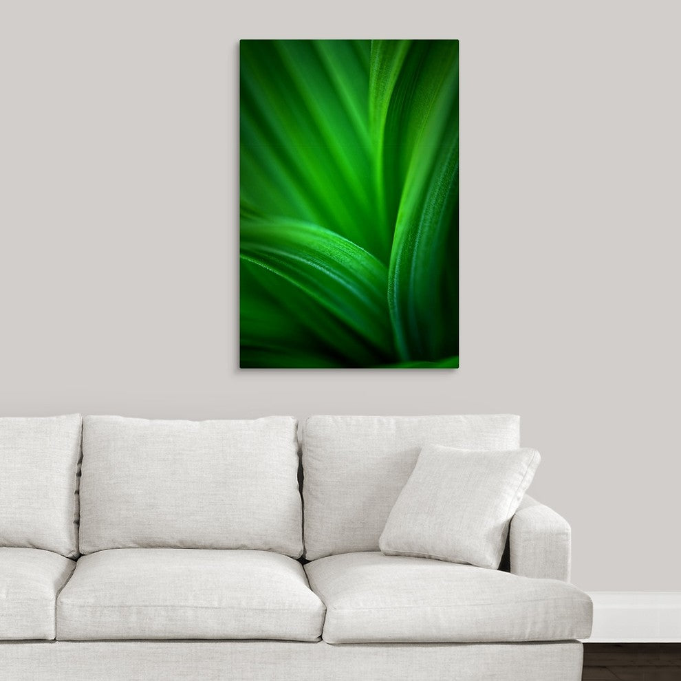 "Hellebore 2" Wrapped Canvas Art Print, 24"x36"x1.5"