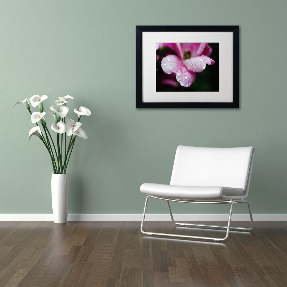 PIPA Fine Art 'Raindrops on Wild Rose Color' Matted Framed Art, 14x11