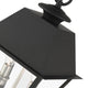 Black Classic, Colonial, Historical, Timeless Outdoor Pendant Lantern