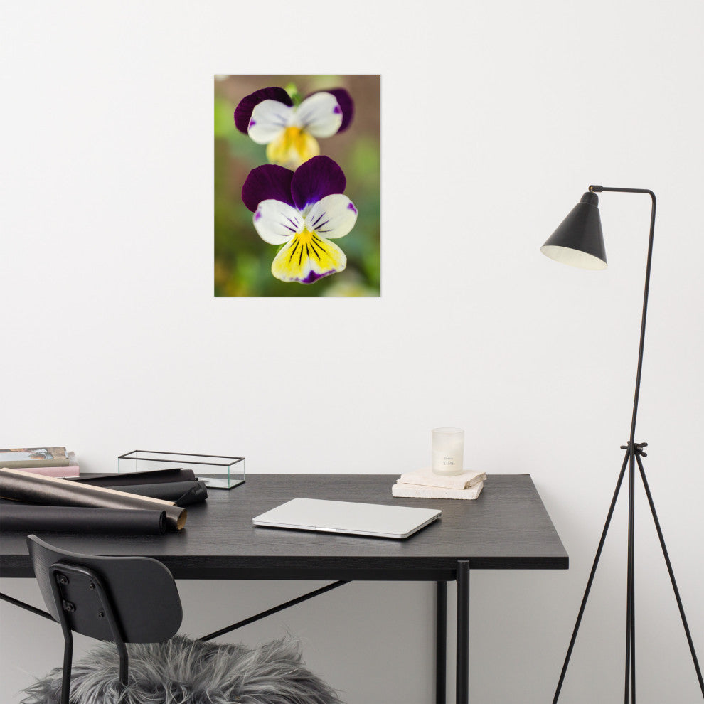 Pretty Little Violets Floral / Botanical Photograph Unframed Wall Art Prints, 18" X 24"