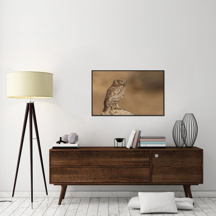 "Owl Vs Bee" Framed Canvas Giclee by Assaf Gavra, 41x26"