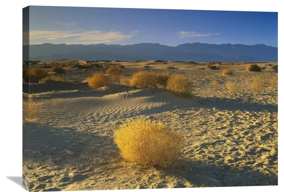 "Mesquite Flat Sand Dunes, Death Valley National Park, California" Artwork