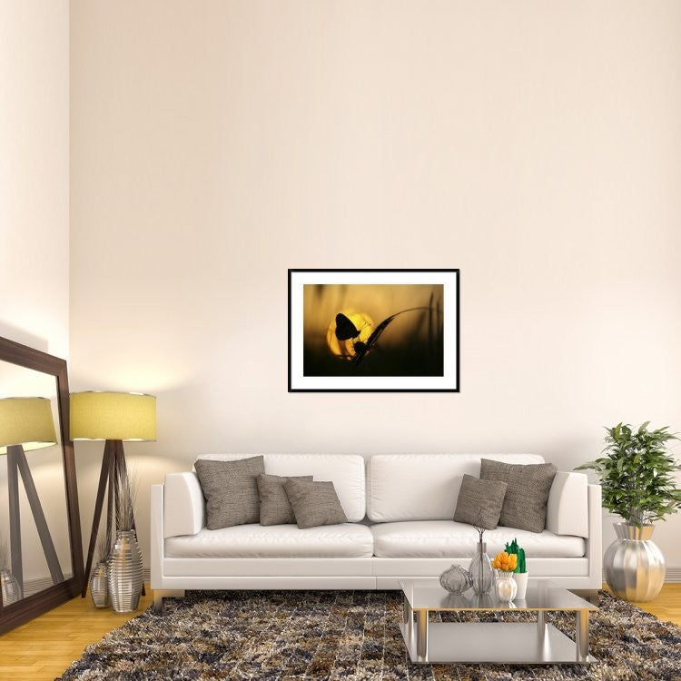 "August" Framed Digital Print by Janini (Zhana Topchieva), 44x32"