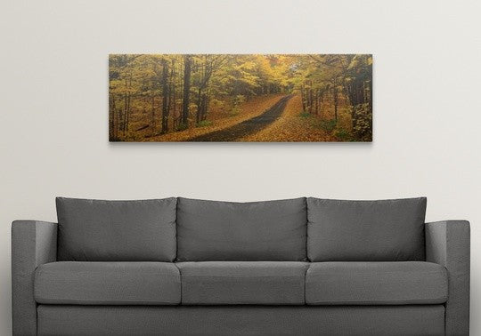 "Fall Road Emery Park NY" Canvas Art, 60"x20"x1.25"