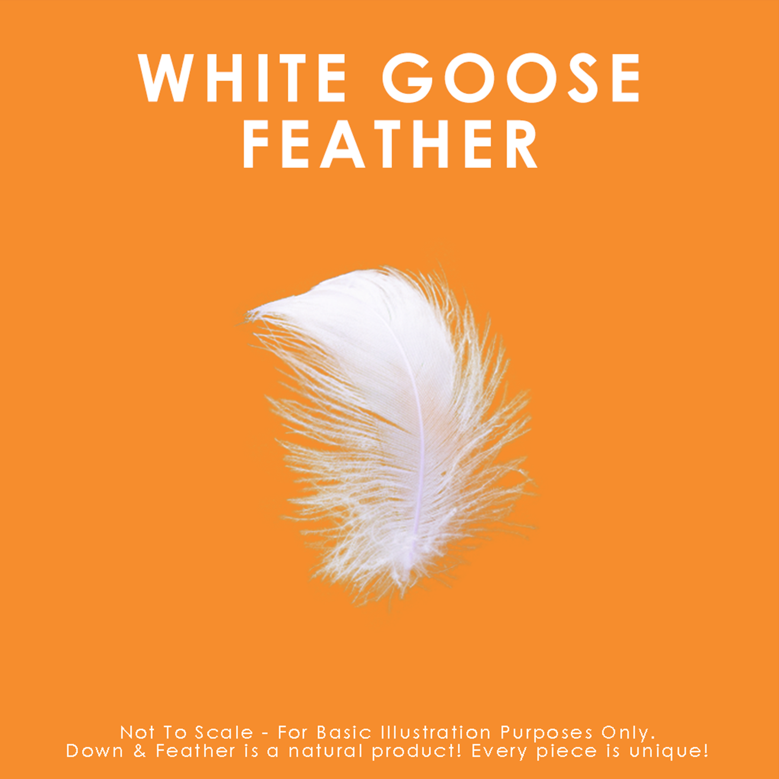 White Goose Feather Comforter, Twin