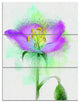 Beautiful Purple Watercolor Flower, Floral Triptych Canvas Art, 28x36, 3 Panels