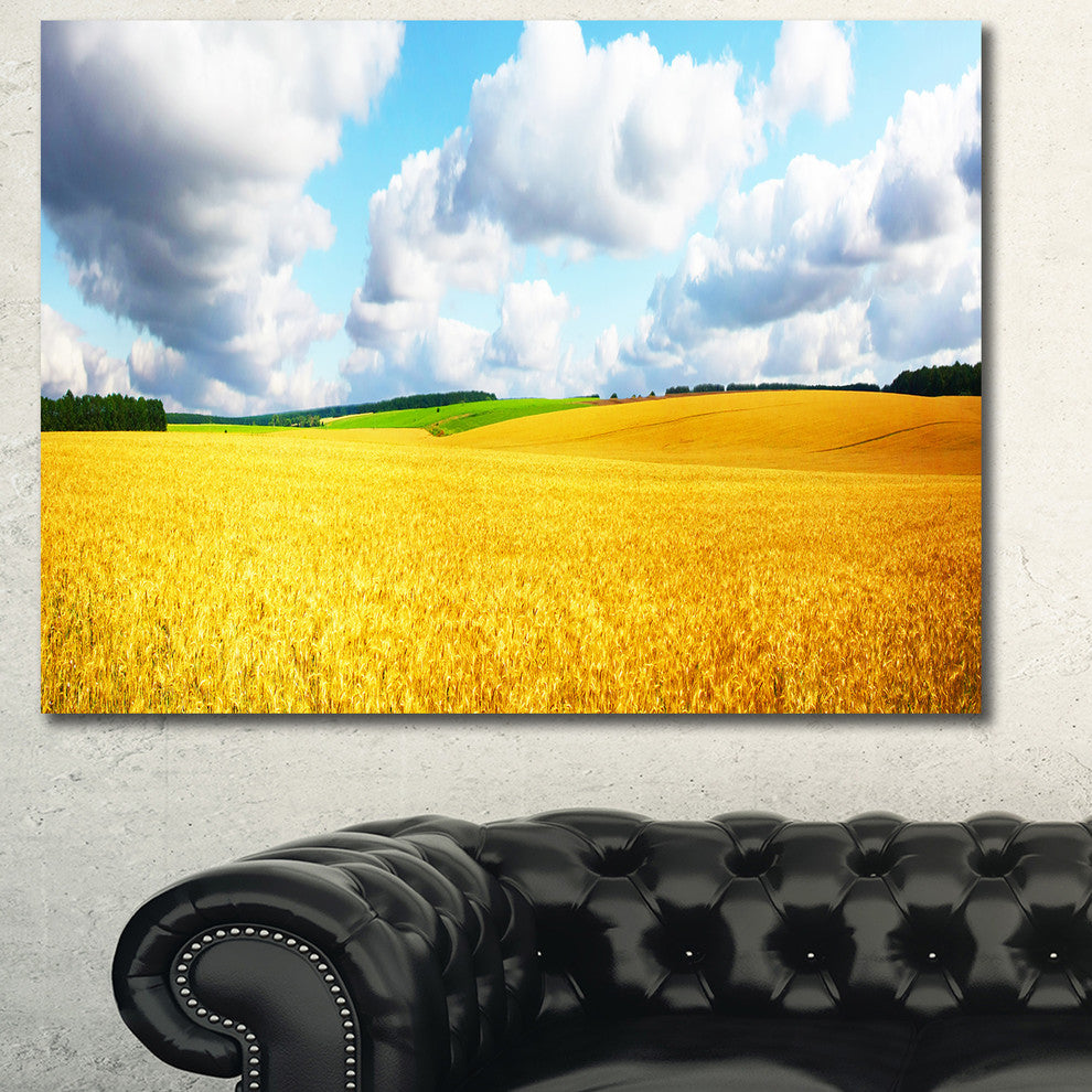 Beautiful Field Panorama, Landscape Canvas Art Print, 60x40
